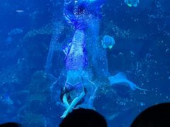 -威海华夏城景区