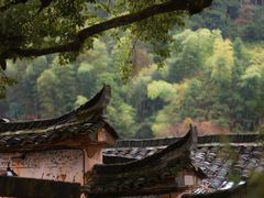 -杨家堂村