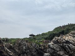 -杨梅坑