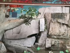 -和源祥·日照菜扛把子(万平口一店)