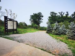 -北京西山国家森林公园