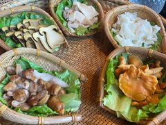 -滇野云南野生菌餐厅(陕西南路店)