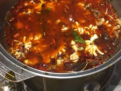 -重庆乌鱼庄·龙滋鲜(青羊大道店)