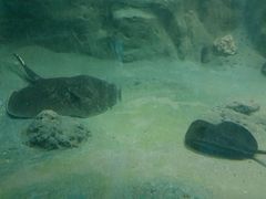 -临沂极地海洋王国