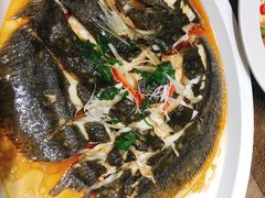 -郑庄脂渣海鲜楼(九水路店)