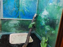-上海大自然野生昆虫馆