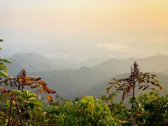 -阳台山森林公园