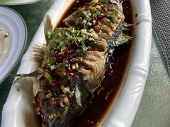 -巩本明鱼屋子
