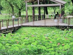 -沐仙湖湿地公园