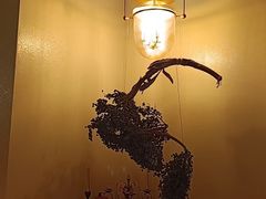 -涟LIAN·泰式按摩·MASSAGE·SPA(深业上城店)