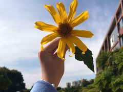 -福州大学厦门工艺美术学院(集美校区)