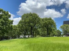 -上海第二工业大学(金海路校区)