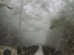 -武当山风景区
