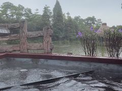 -美的鹭湖森林度假区