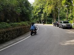 -火炉山森林公园