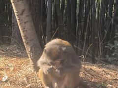 -苏州环秀晓筑养生度假村