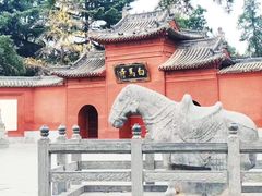 -洛阳白马寺
