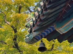 -潭柘寺景区
