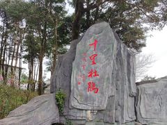 -梧桐山风景名胜区