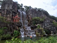 -金鸡山公园