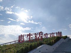-海河外滩公园
