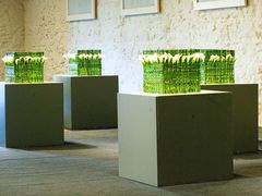 -荷兰布尔玛国际花艺学院