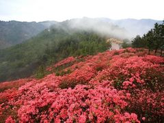 -木兰云雾山