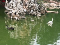 -合肥野生动物园