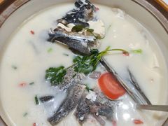-全乐鱼馆·淳牌有机鱼直营店