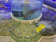 android_upload_pic-珠海棕泉水疗酒店(拱北口岸高铁站店)