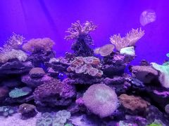 -青岛海底世界-水族馆
