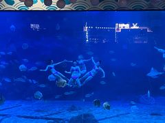 -烟台海昌鲸鲨海洋公园