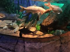 -沈阳海洋探索中心