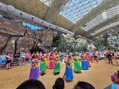 -杭州开元森泊度假乐园