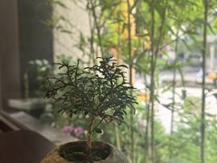 -小西家作•精致蛋糕(富力爱丁堡店)