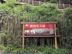 -娄山关景区