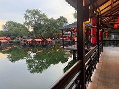 -侨美·唐荔园·40年地道粤菜