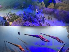 -浙江自然博物院(杭州馆)