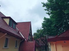 -上海市皮肤病医院(武夷路院区)