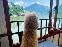 -后柳水乡