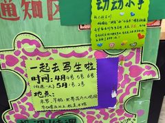 -杨梅红艺术教育(北京金源购物中心校区)