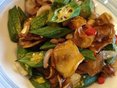-食家鸽园