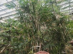 -龙达温泉生态城