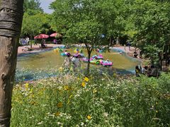 -西部长青自然儿童乐园