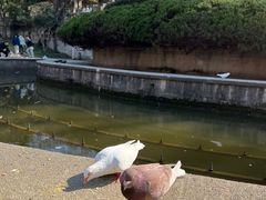 -音乐台