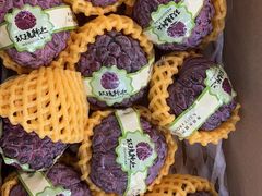 -沈阳市八家子水果批发市场