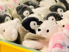 -芜湖新华联大白鲸海洋公园