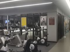 -金吉鸟健身游泳