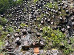-神农架景区