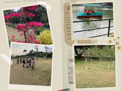 -紫马岭公园
